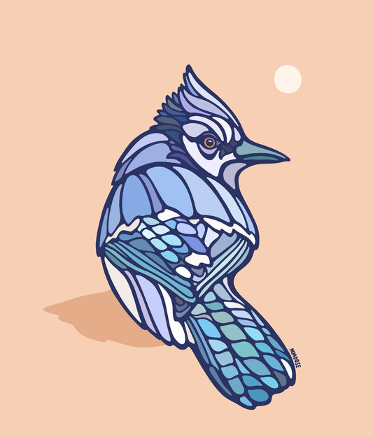 Blue Jay